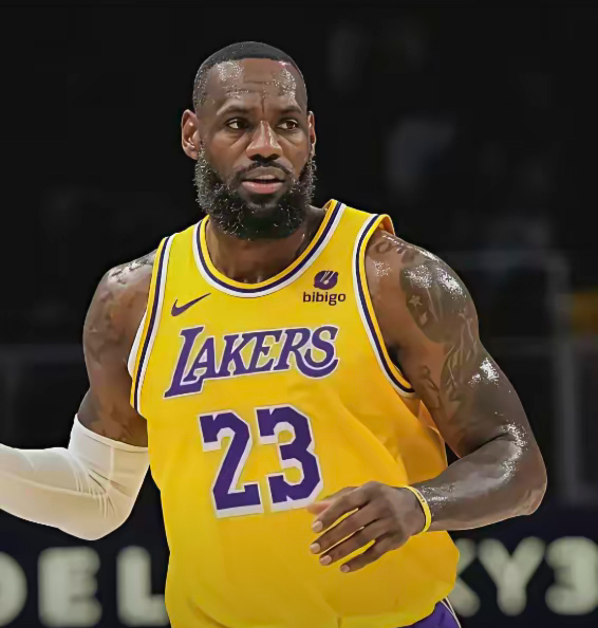 詹姆斯新星赛事规则更新表现惊艳，G2未来可期！的简单介绍